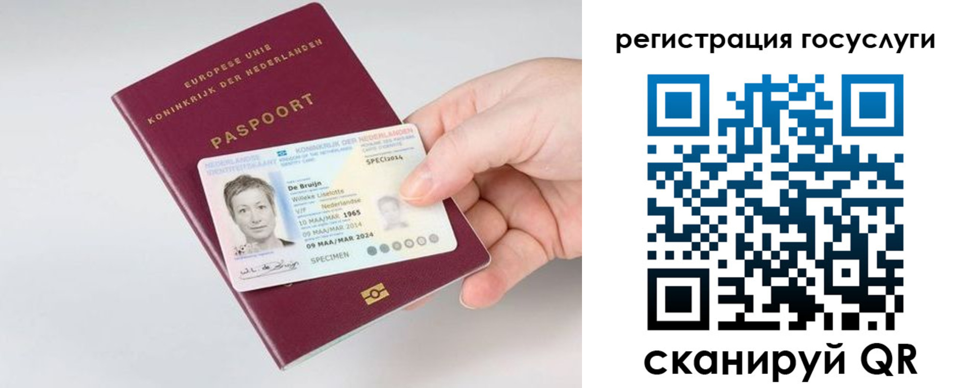 регистрация для дет. сада в Ярославле